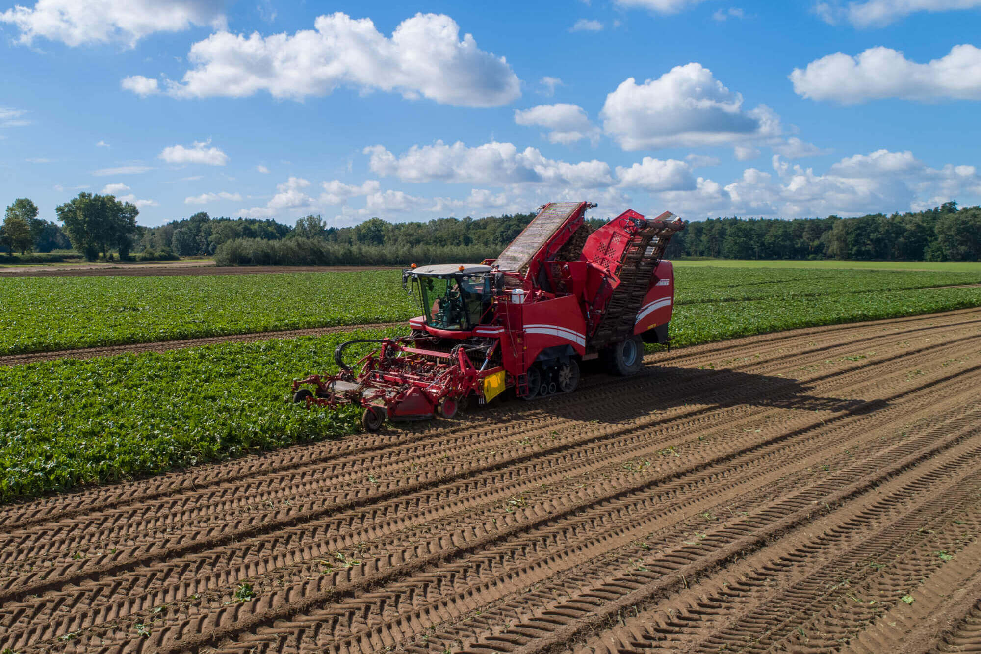 Agriculture Agriculture